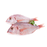 Ikan Kakap Merah 500g (45k)