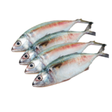 Ikan ruma-ruma (45k)