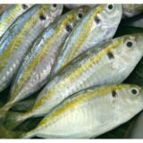 Ikan kembung bui bui 500g (35k)